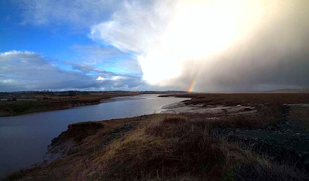 Windsor Salt Marsh